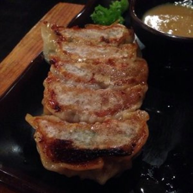 野菜ギョウザ(KENKA)