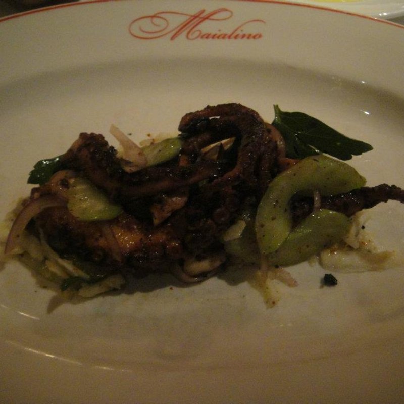 Grilled Octopus(Maialino)
