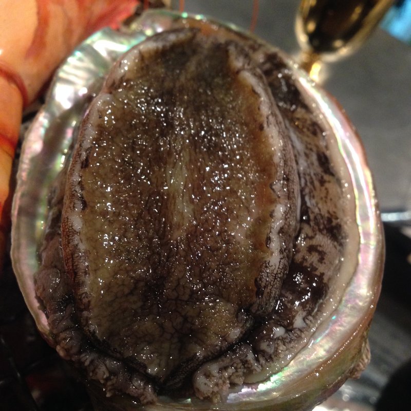 お通し　アワビ網焼き(海老の髭)