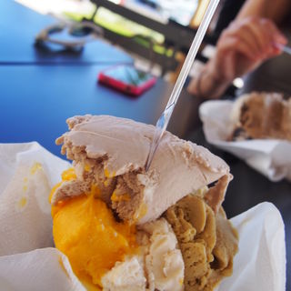 Gelato(Amorino)