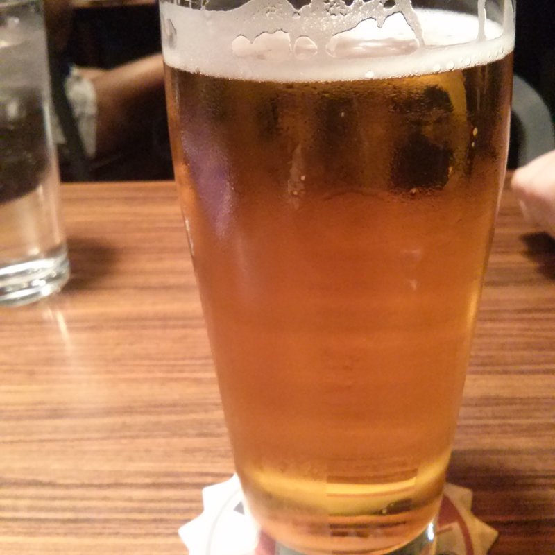 Back Bay I.P.A (16oz)(Beer Works)