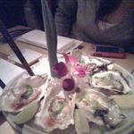 kumamoto oysters