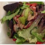 Octopus Salad