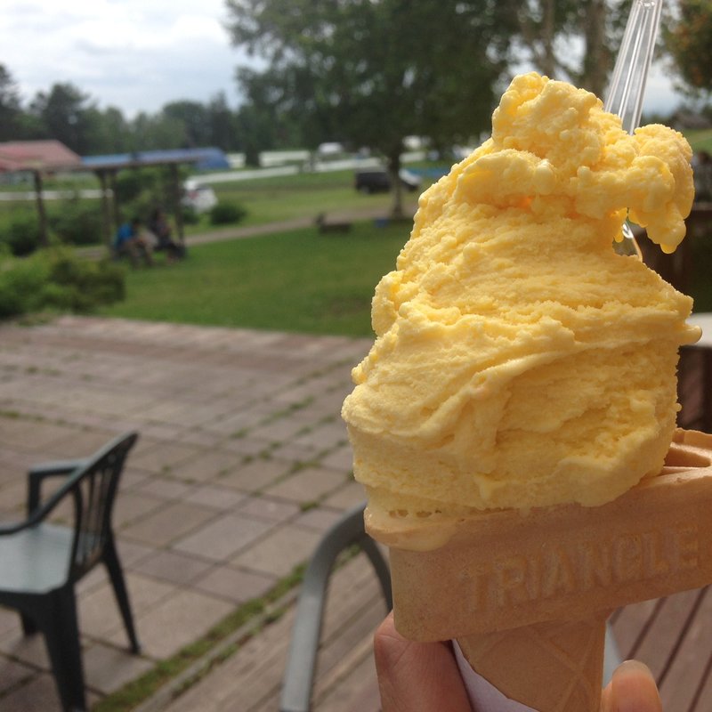 かぼちゃジェラート(手作りアイス「花茶」)
