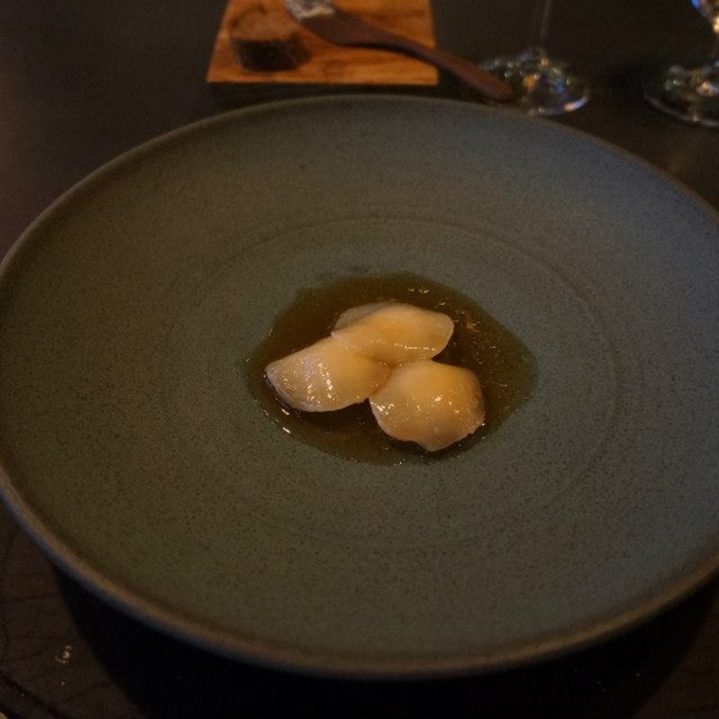 Course 11 Scallop(Atera)