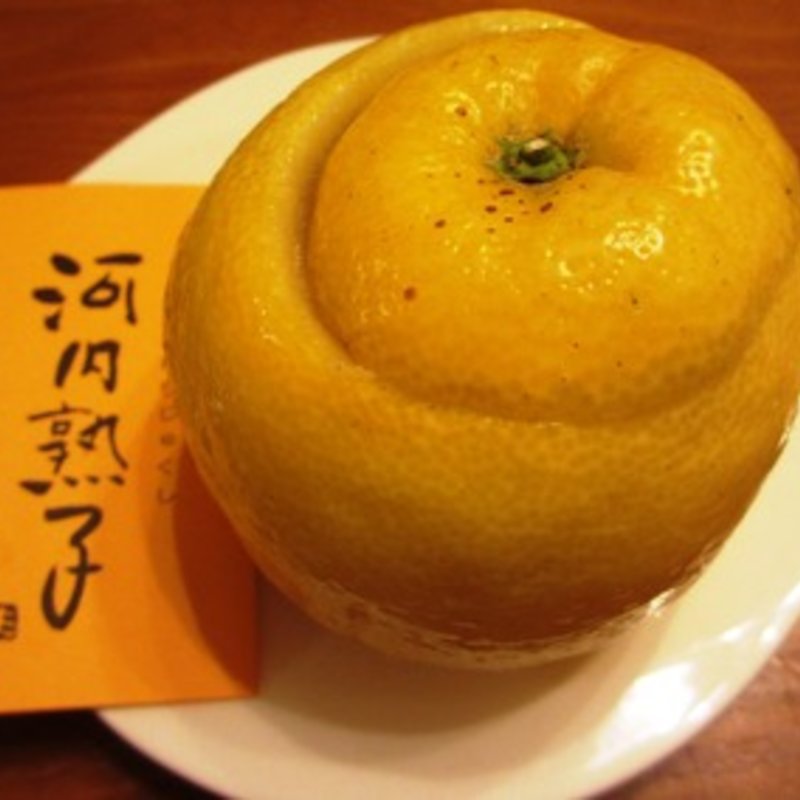 河内熟子(直中　仙太郎)