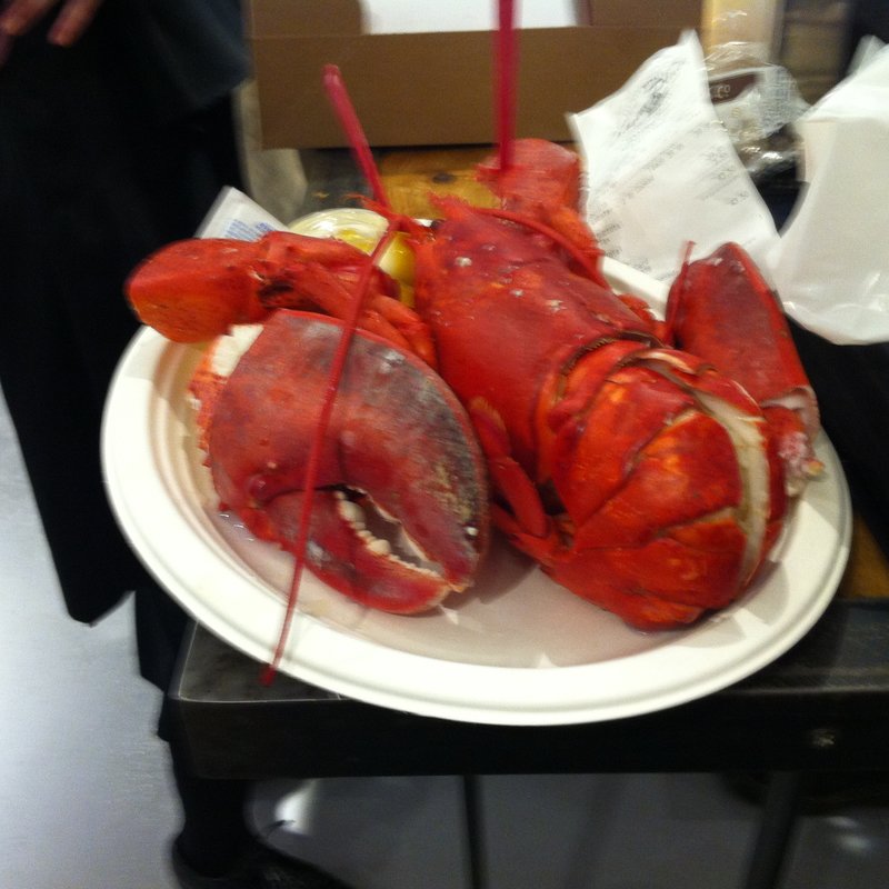 ロブスター　ミディアムサイズ(The Lobster Place)