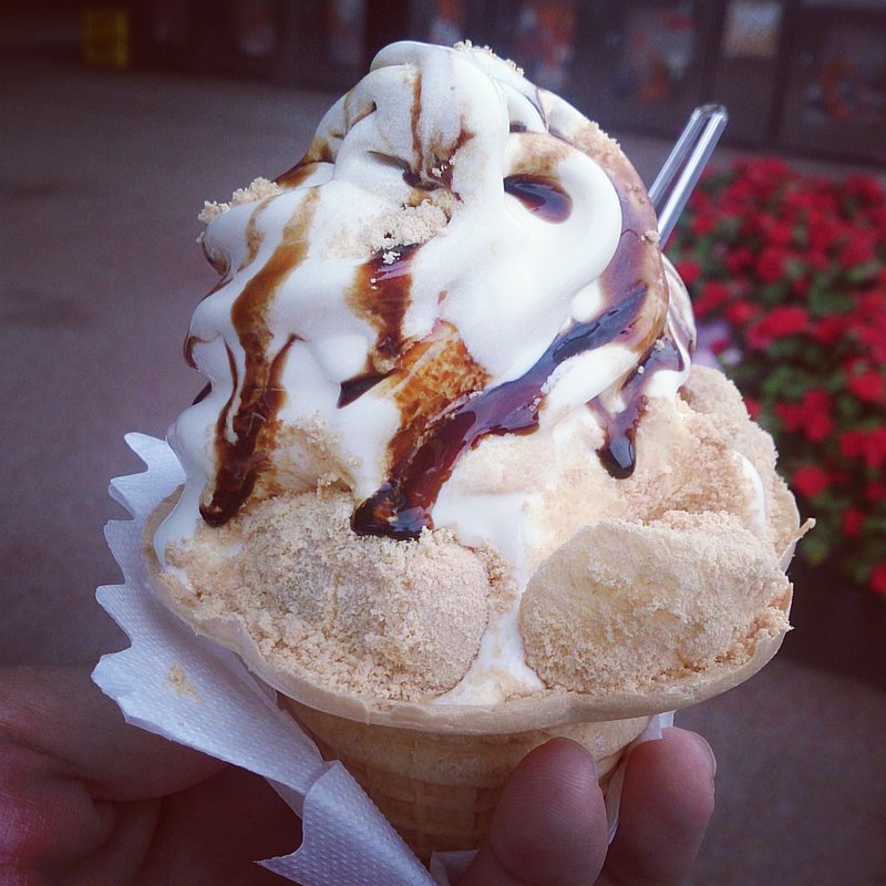 信玄ソフト(八ヶ岳パン工房 )