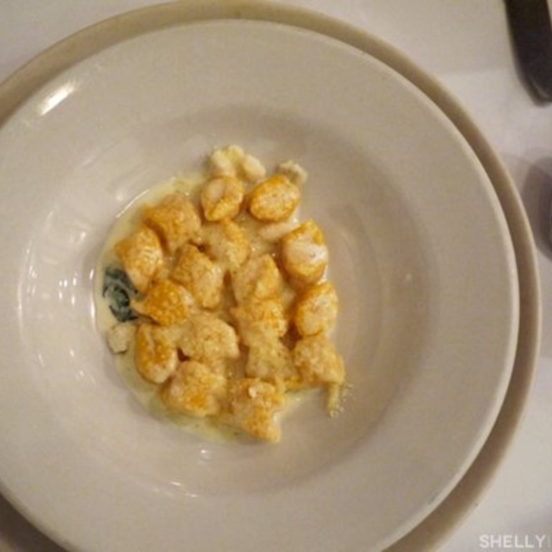 Pumpkin Gnocchi with Sage Cream Sauce (Basta Pasta)