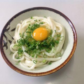 うどん(三嶋製麺所 （みしませいめんじょ）)