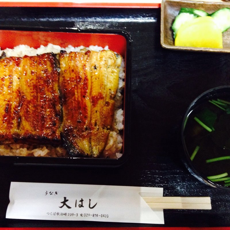 上うな重定食(大はし （おおはし）)