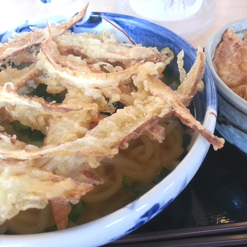 ごぼう天うどん(神宮屋　勘助 )