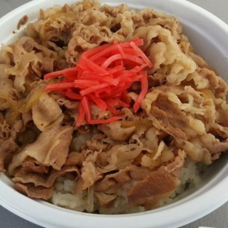  Beef Bowl  (Yajima-ya)