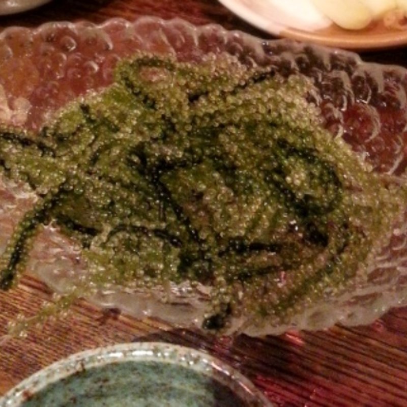 海ぶどう(リトル沖縄)