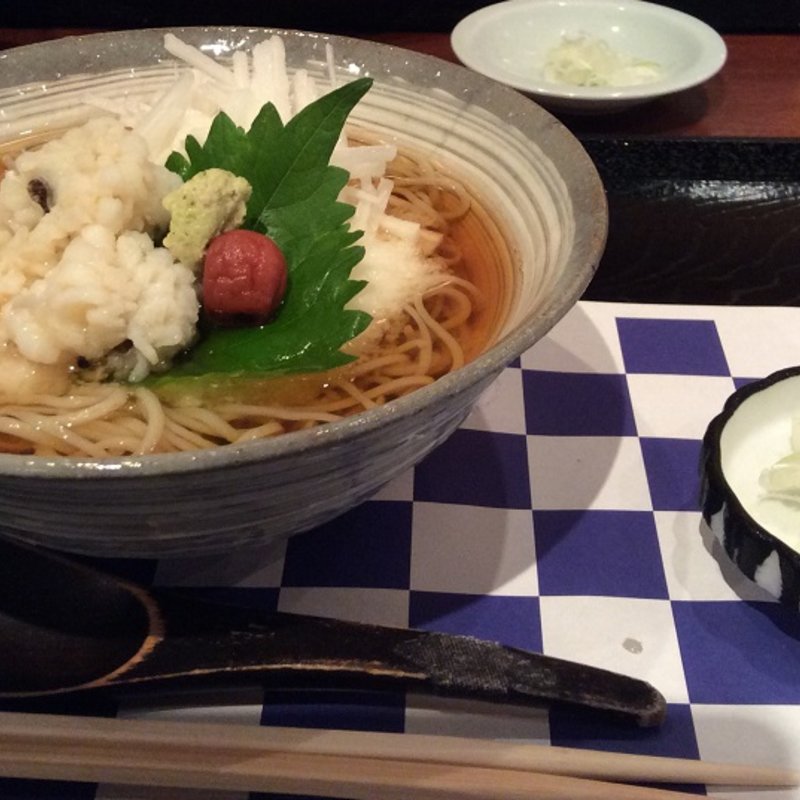 さっぱり冷かけ蕎麦(雪花山房 （せっかさんぼう）)