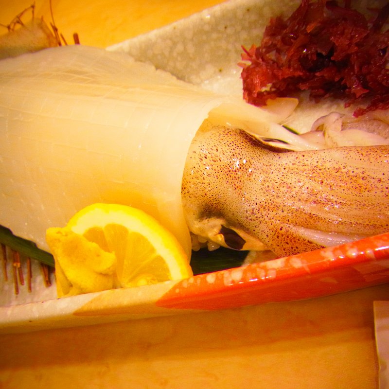 イカのお造り(割烹かじ天)