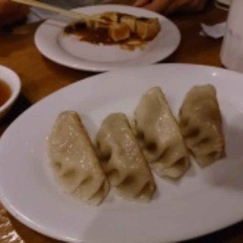 餃子(Little Village Noodle House)