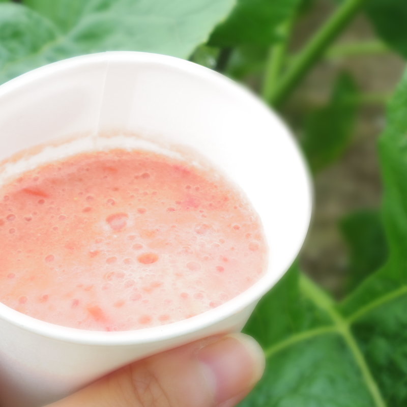 トマトのスムージー(はらっぱ )