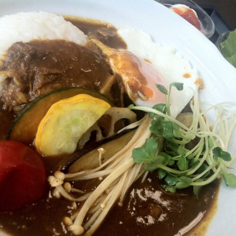 スパイスカレー(ブローチ （brooch）)