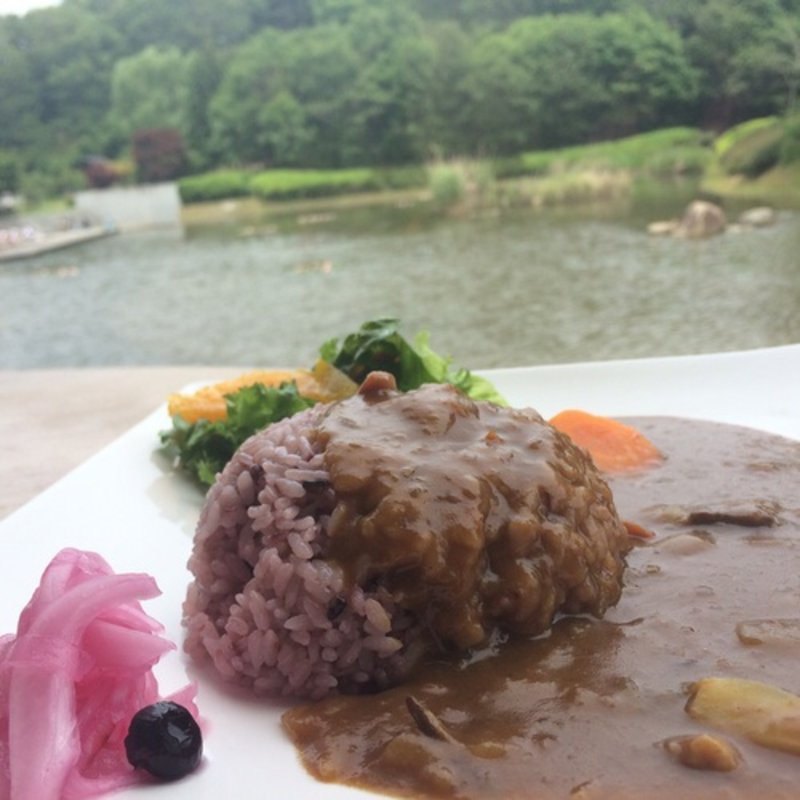 古代米カレー(古代米屋レストラン　グリーンゲイブル )