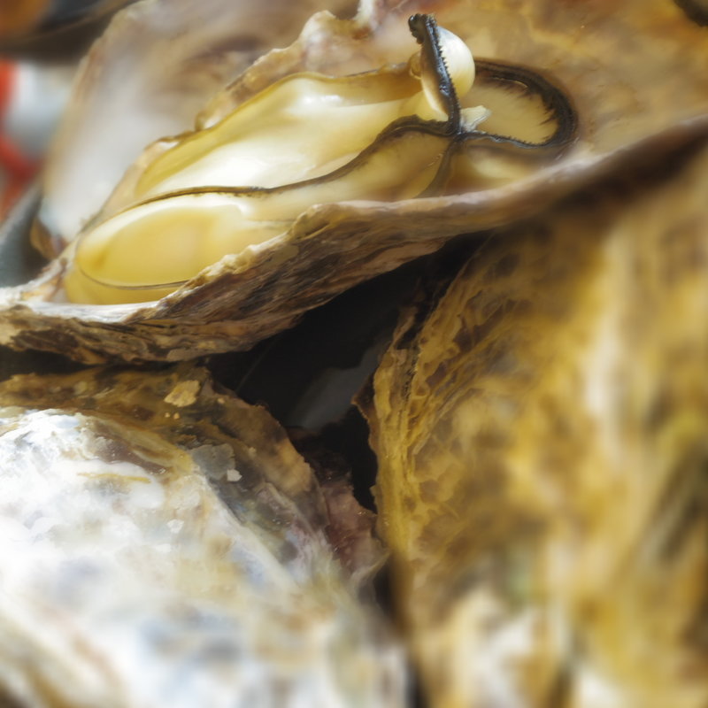 カキの酒蒸し(銀波荘 )