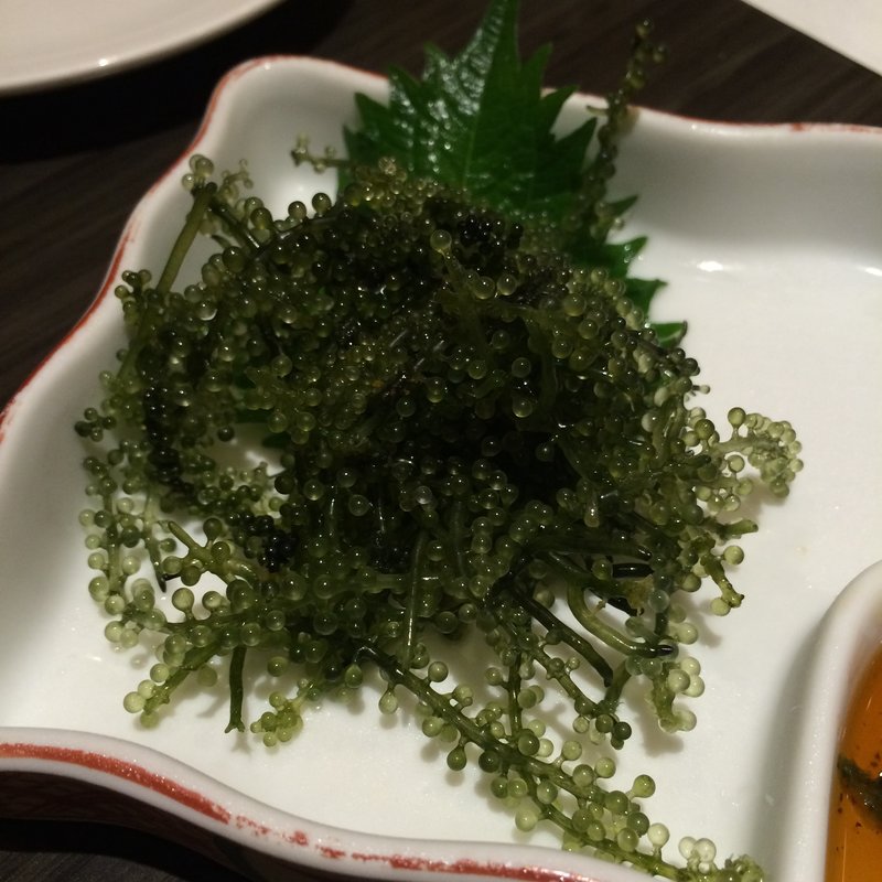 海ぶどう(58 ゴッパチ )