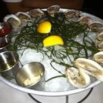 Manatuck oysters