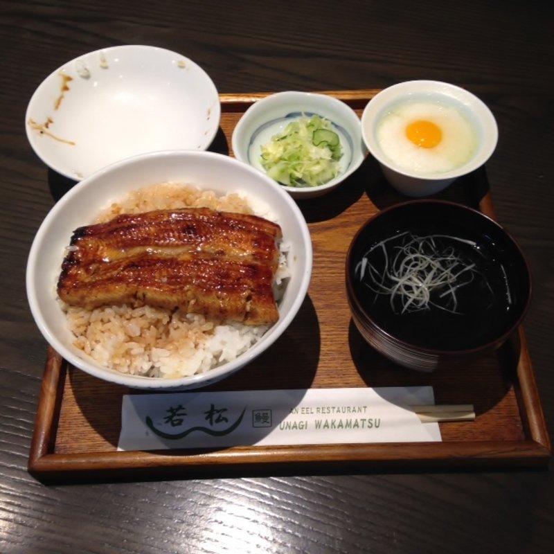 うなとろ丼　大盛(若松 )