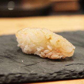 Baby white shrimp(JEWEL BAKO)