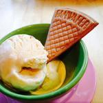 北海道バニラ＆塩キャラメルアイスクリーム