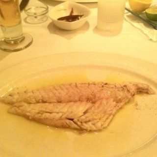 レッドスナッパー(esca)