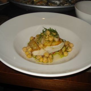 cod(Blue Fin)