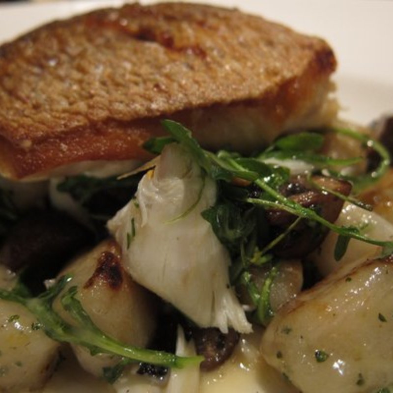 Florida Red Snapper, lemon herb gnocchi, petite portobello mushrooms, jumbo lump crab(Blue Fin)