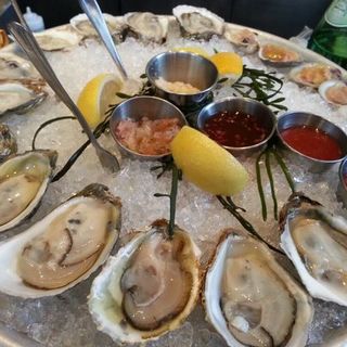 oysters(Blue Fin)