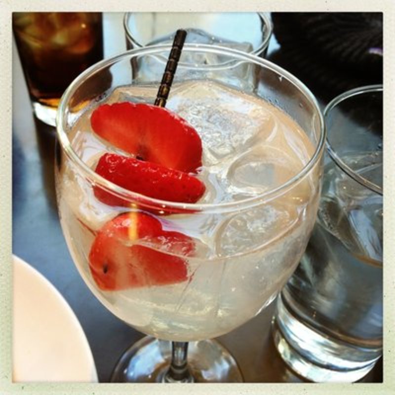 Snap dragon(Blue Fin)