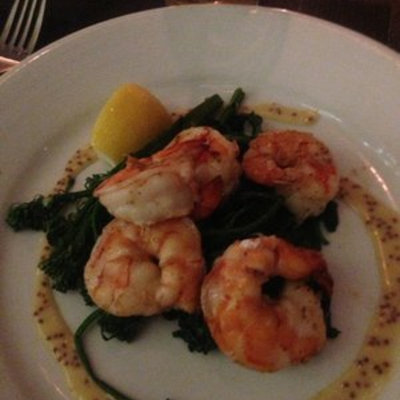 Jumbo Shrimp(Blue Fin)