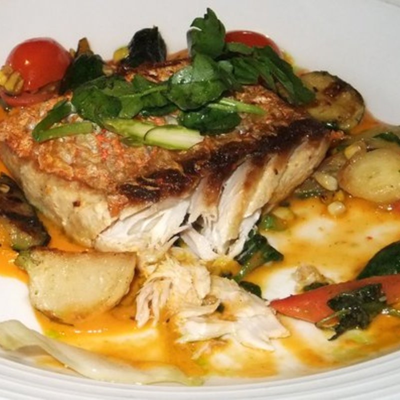 snapper entree(Blue Fin)