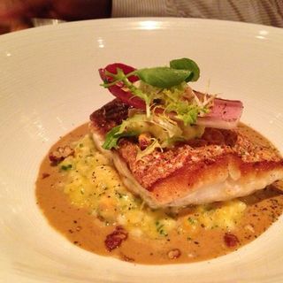 American red snapper(Blue Fin)