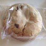 Chocolate Chip
