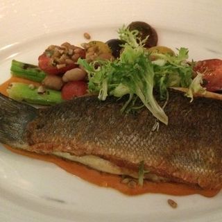 branzini(Blue Fin)