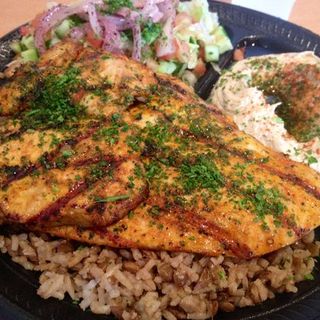 Chicken breast plate(Pita Bar & Grill)