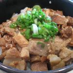 Cha-Siu on Rice