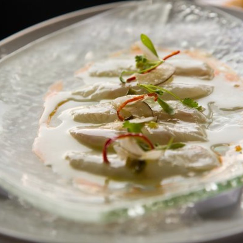 Fluke Tirado(RIVER CAFE)