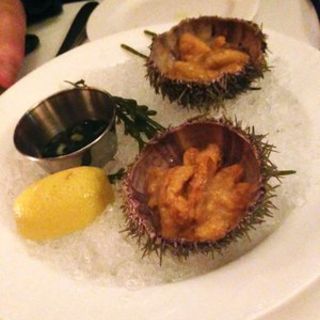 Sea urchin appetizer(Aquagrill)