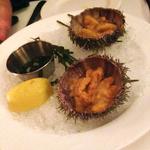 Sea urchin appetizer