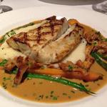 Red drum