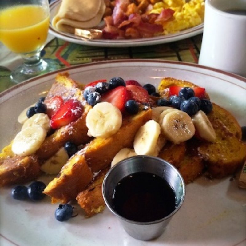 French Toast(THE GREY DOG)