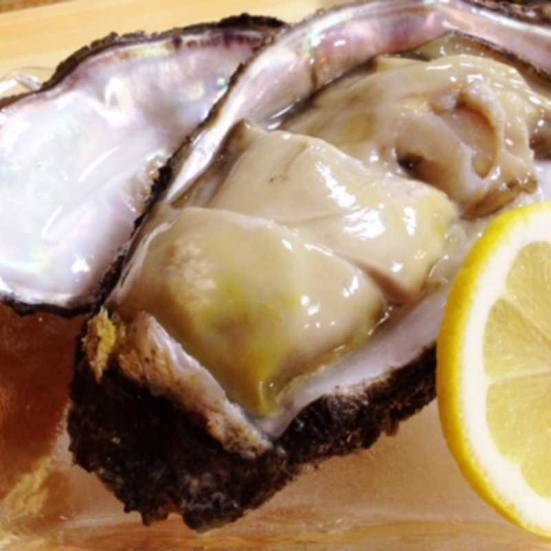 天然岩牡蠣(お可免)