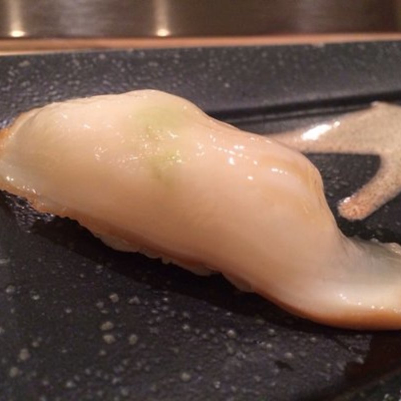 Octopus nigiri(Soto)