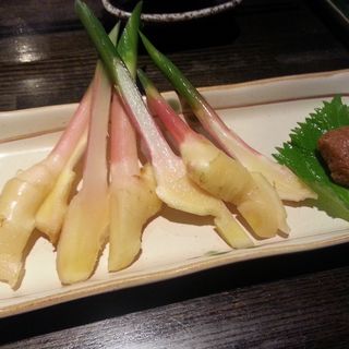 谷中生姜(食楽)